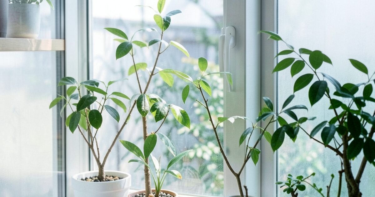 タスカジの口コミ・評判｜向いている人と注意点のイメージ画像 3